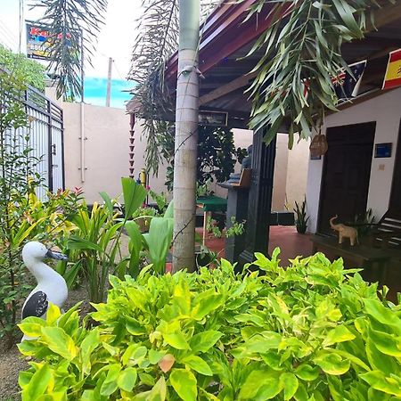 Kavidi Villa Home Stay Tangalle Exteriér fotografie