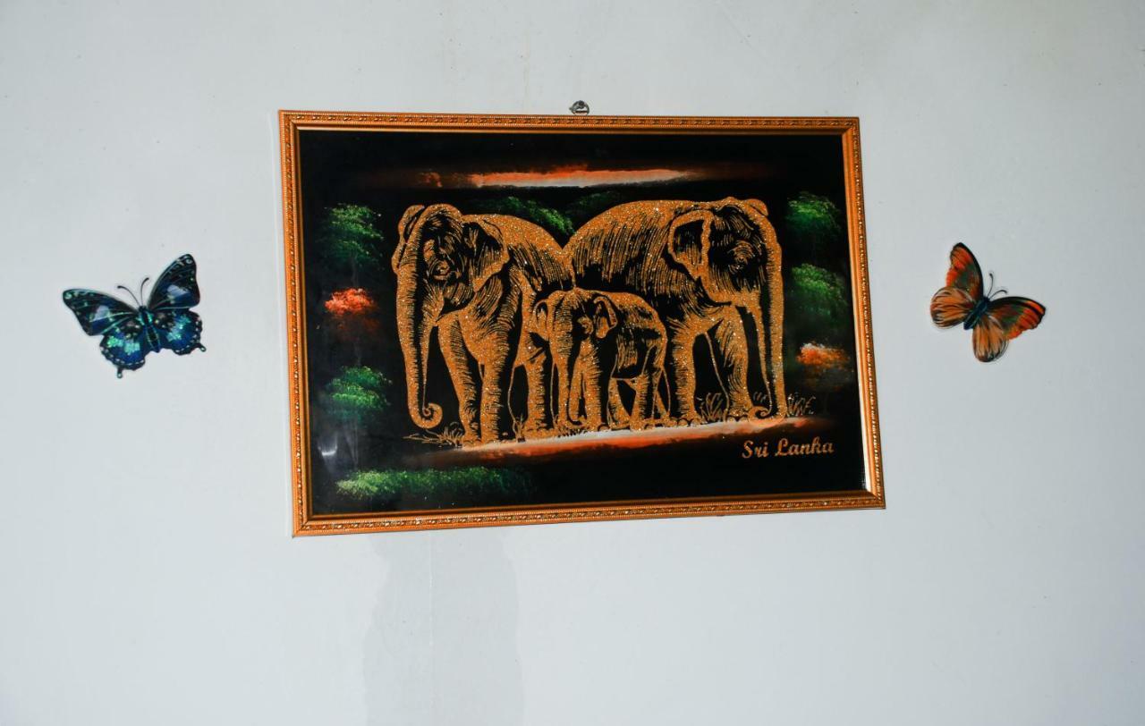 Kavidi Villa Home Stay Tangalle Exteriér fotografie